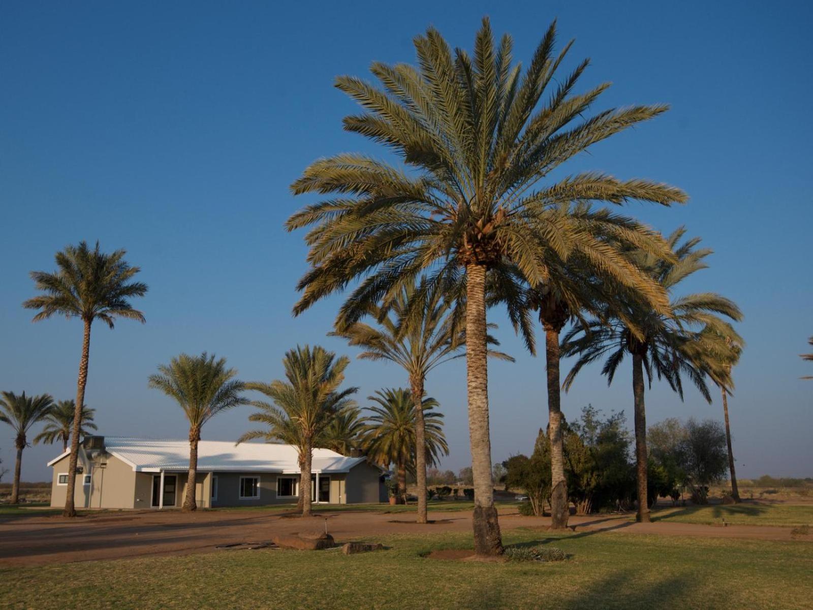 Flying Ostrich Guesthouse & Self-Catering Accommodation Mariental Eksteriør bilde